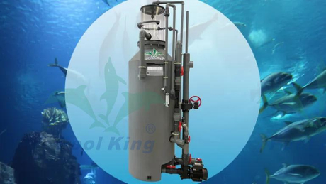 Skimmer Protein Akuarium