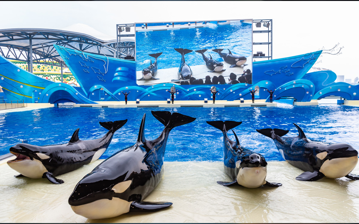Acuario